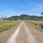 453 Kinchant Dam Road, KINCHANT DAM, QLD 4741 AUS