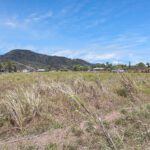 453 Kinchant Dam Road, KINCHANT DAM, QLD 4741 AUS