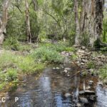 Lot 4/2837 Bruce Highway, KUTTABUL, QLD 4741 AUS