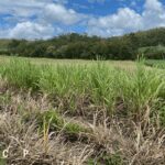 Lot 4/2837 Bruce Highway, KUTTABUL, QLD 4741 AUS