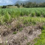 Lot 2/2837 Bruce Highway, KUTTABUL, QLD 4741 AUS