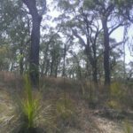 Lot 8 Greenhill Road, ILBILBIE, QLD 4738 AUS