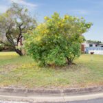 56 Mansfield Drive, BEACONSFIELD, QLD 4740 AUS