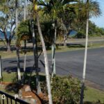 20 Binnington Esplanade, EAST MACKAY, QLD 4740 AUS