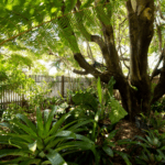 44 Keswick Avenue, SLADE POINT, QLD 4740 AUS