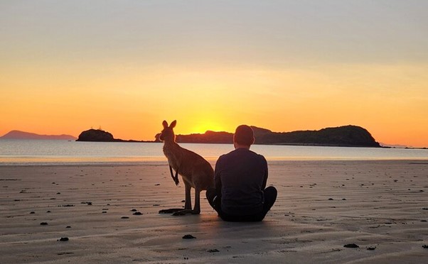 Sunrise with the kangaroos and wallabies