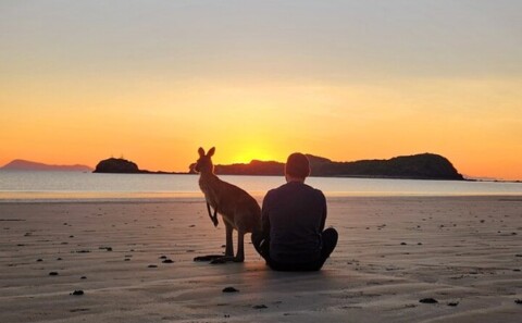 Vorlage: 13 Things to do in Mackay, Queensland 13 Things to do in Mackay, Queensland Motiv