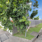 245 Evan Street, SOUTH MACKAY, QLD 4740 AUS