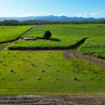 420 Gargett Mia Mia Road, SEPTIMUS, QLD 4754 AUS