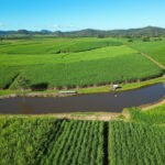 420 Gargett Mia Mia Road, SEPTIMUS, QLD 4754 AUS