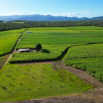 420 Gargett Mia Mia Road, SEPTIMUS, QLD 4754 AUS