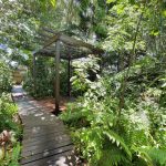 2 Turner Avenue, BUCASIA, QLD 4750 AUS