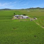 64 Burgess Lane, ETON, QLD 4741 AUS