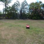 7 Aberdeen Court, BEACONSFIELD, QLD 4740 AUS