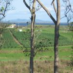 328 Leichhardt Road, MIRANI, QLD 4754 AUS