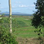 328 Leichhardt Road, MIRANI, QLD 4754 AUS