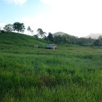 123 Carranya Rd, HABANA, QLD 4740 AUS