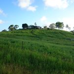 123 Carranya Rd, HABANA, QLD 4740 AUS