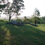 123 Carranya Rd, HABANA, QLD 4740 AUS