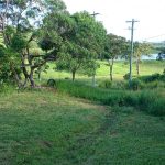 123 Carranya Rd, HABANA, QLD 4740 AUS