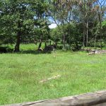 5 Delachantos Road, HAMPDEN, QLD 4741 AUS