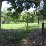 5 Delachantos Road, HAMPDEN, QLD 4741 AUS