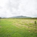 242 Mt Martin Loop Road, MIRANI, QLD 4754 AUS