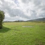 242 Mt Martin Loop Road, MIRANI, QLD 4754 AUS