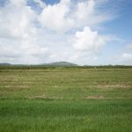 242 Mt Martin Loop Road, MIRANI, QLD 4754 AUS