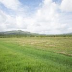 242 Mt Martin Loop Road, MIRANI, QLD 4754 AUS