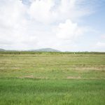 242 Mt Martin Loop Road, MIRANI, QLD 4754 AUS