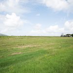 242 Mt Martin Loop Road, MIRANI, QLD 4754 AUS