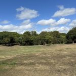 8 Warilla View, BLACKS BEACH, QLD 4740 AUS