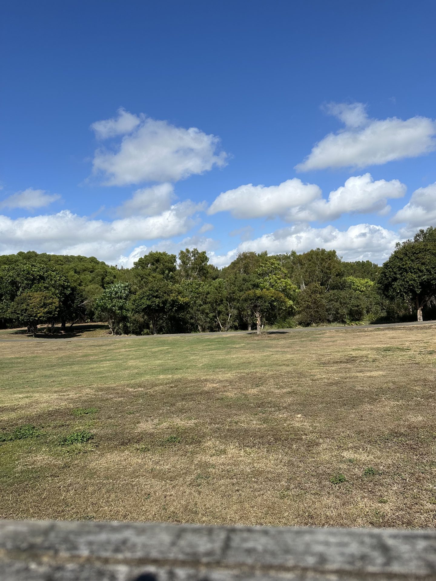 8 Warilla View, BLACKS BEACH, QLD 4740 AUS