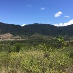 596 Gorge Road, FINCH HATTON, QLD 4756 AUS