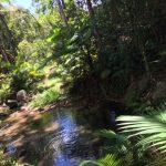 596 Gorge Road, FINCH HATTON, QLD 4756 AUS