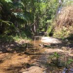 596 Gorge Road, FINCH HATTON, QLD 4756 AUS