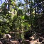 596 Gorge Road, FINCH HATTON, QLD 4756 AUS