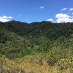 596 Gorge Road, FINCH HATTON, QLD 4756 AUS