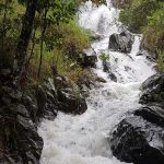 596 Gorge Road, FINCH HATTON, QLD 4756 AUS