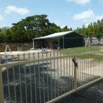 69 Barnes Road, GLENELLA, QLD 4740 AUS