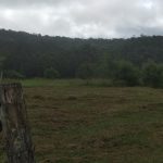 55 Cathay Creek Road, CREDITON, QLD 4757 AUS