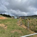 189 Cathay Creek Road, CREDITON, QLD 4757 AUS