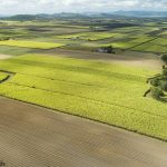 Lot 2 Mount Vince Road, VICTORIA PLAINS, QLD 4751 AUS