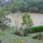 575 Schumanns Road, EUNGELLA, QLD 4757 AUS