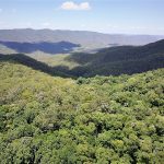 575 Schumanns Road, EUNGELLA, QLD 4757 AUS