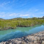 1 Finlayson Street, SEAFORTH, QLD 4741 AUS