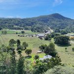 4 Helens Court, HAMPDEN, QLD 4741 AUS