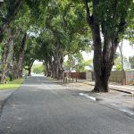 22 Mango Avenue, EIMEO, QLD 4740 AUS