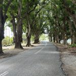 22 Mango Avenue, EIMEO, QLD 4740 AUS